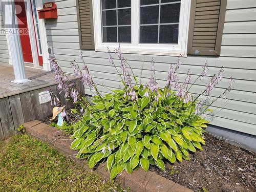 4 Wilson Drive, Corner Brook, NL - Outdoor