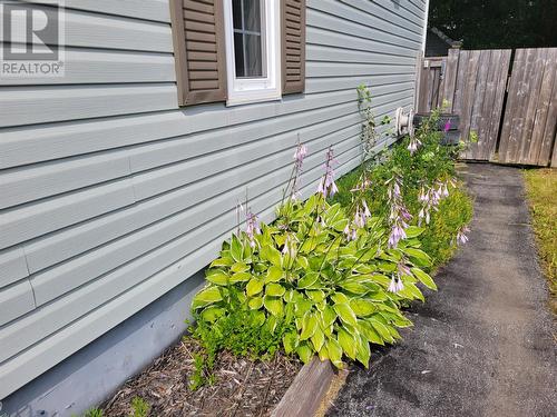 4 Wilson Drive, Corner Brook, NL - Outdoor