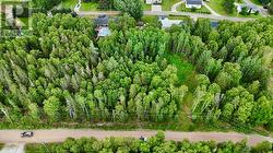 8 Pearls Lane Reidville, NL A8A 2X3
