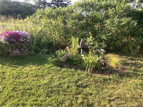 352 Lafrance St, Dieppe, NB 
