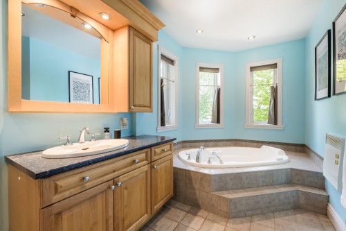 Salle de bains - 1 Rue Dozois, Candiac, QC - Indoor Photo Showing Bathroom