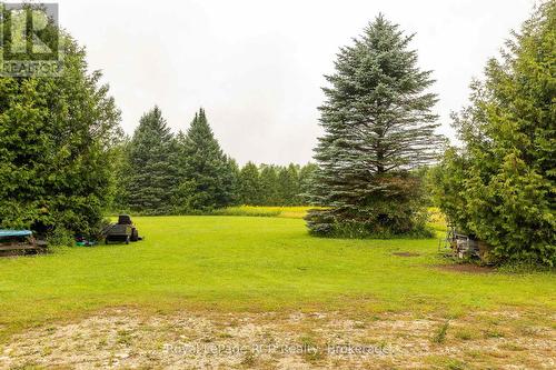 613154 Sideroad 50, West Grey, ON - Outdoor