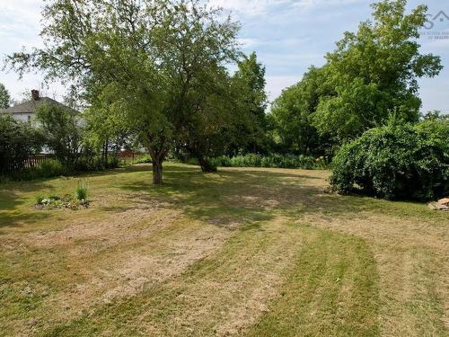 32 River Avenue, Oxford, NS - Outdoor