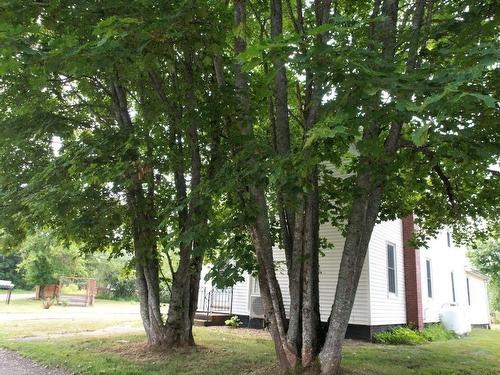 32 River Avenue, Oxford, NS - Outdoor