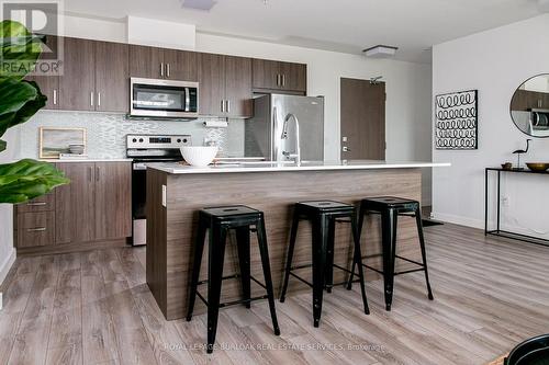206 - 455 Charleton Avenue E, Hamilton, ON - Indoor Photo Showing Kitchen With Stainless Steel Kitchen
