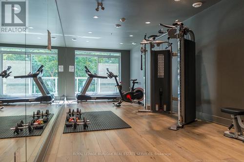 206 - 455 Charleton Avenue E, Hamilton, ON - Indoor Photo Showing Gym Room