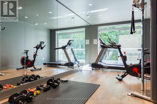 206 - 455 Charleton Avenue E, Hamilton, ON - Indoor Photo Showing Gym Room