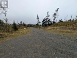 146-148 Nine Mile Road St. Catherines, NL A0B 2M0