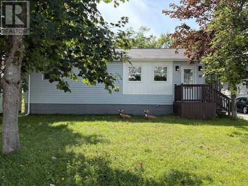 19 Atlantic Avenue  Stephenville, NL A2N 2G1