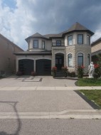Basement-38 Havanna Crescent  Brampton, ON L6P 3Y2