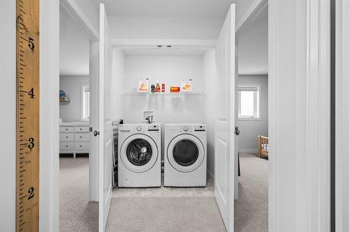 217 Blackbird Way, Grande Pointe, MB - Indoor Photo Showing Laundry Room