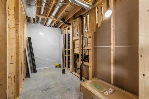 217 Blackbird Way, Grande Pointe, MB - Indoor Photo Showing Basement