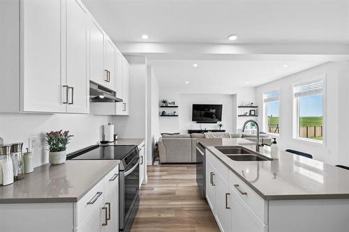 217 Blackbird Way, Grande Pointe, MB - Indoor Photo Showing Kitchen With Double Sink With Upgraded Kitchen
