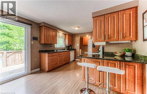 82 Roseneath Crescent, Kitchener, ON - Indoor Photo Showing Kitchen With Double Sink