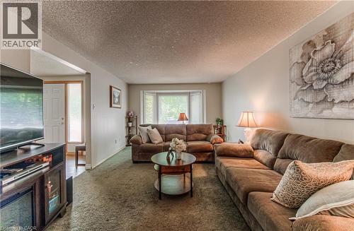 82 Roseneath Crescent, Kitchener, ON - Indoor Photo Showing Living Room