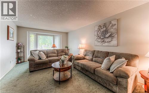 82 Roseneath Crescent, Kitchener, ON - Indoor Photo Showing Living Room
