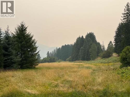 1864 Highway 3A, Castlegar, BC - Outdoor With View