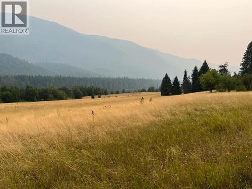 1864 Highway 3A, Castlegar, BC - Outdoor With View