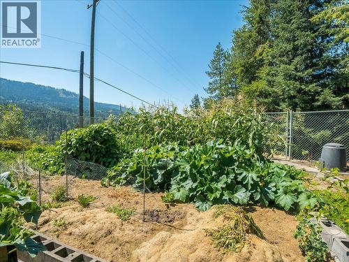 5725 Taghum Frontage Road, Taghum, BC - Outdoor