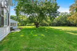 Beautiful mature trees throughout the peoperty - 