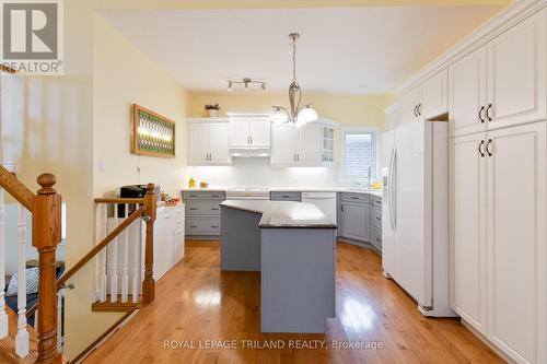 87 Pine Valley Drive, St. Thomas, ON - Indoor Photo Showing Kitchen With Upgraded Kitchen