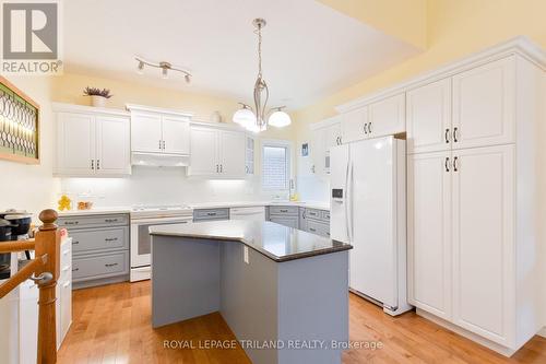 87 Pine Valley Drive, St. Thomas, ON - Indoor Photo Showing Kitchen With Upgraded Kitchen