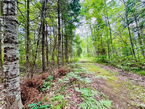 7140 Highway 28, North Kawartha, ON - Outdoor