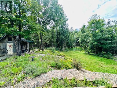 7140 Highway 28, North Kawartha, ON - Outdoor