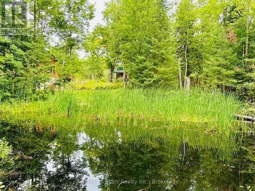 7140 Highway 28, North Kawartha, ON - Outdoor