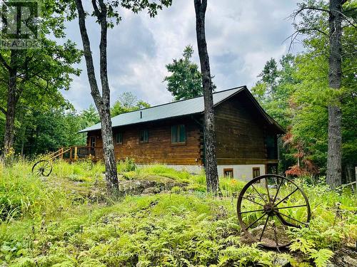 7140 Highway 28, North Kawartha, ON - Outdoor