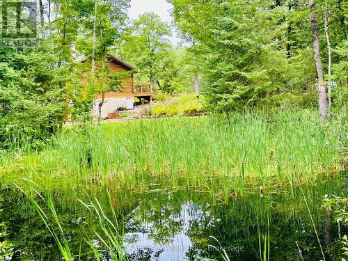 7140 Highway 28, North Kawartha, ON - Outdoor