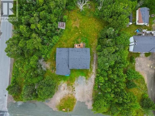 46 Conception Bay Highway, Holyrood, NL 