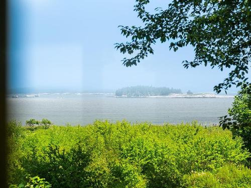 4145 Highway 329, Bayswater, NS - Outdoor With View