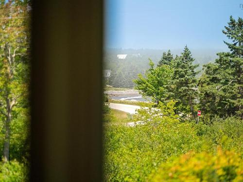 4145 Highway 329, Bayswater, NS - Outdoor With View