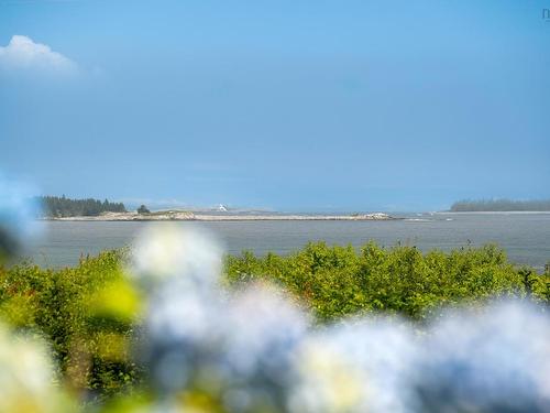 4145 Highway 329, Bayswater, NS - Outdoor With Body Of Water With View
