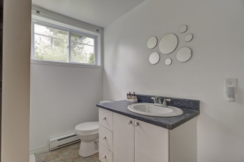 Salle d'eau - 260 Av. Laporte, Laval (Pont-Viau), QC - Indoor Photo Showing Bathroom