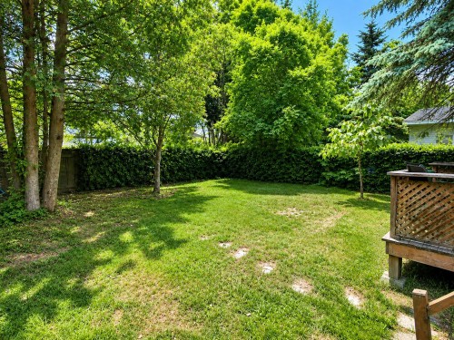 Cour - 80 Av. Prince-Edward, Pointe-Claire, QC - Outdoor