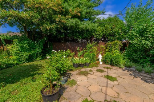 Jardin - 3690 Crois. Oscar, Brossard, QC - Outdoor