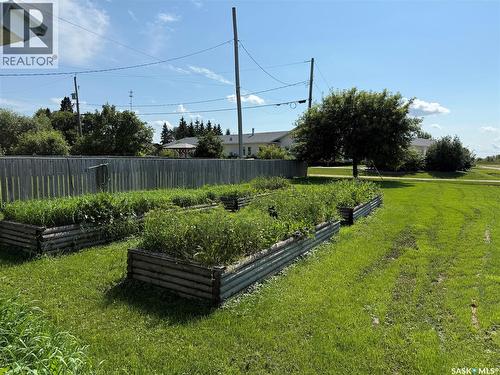 315 3Rd Avenue W, Debden, SK - Outdoor