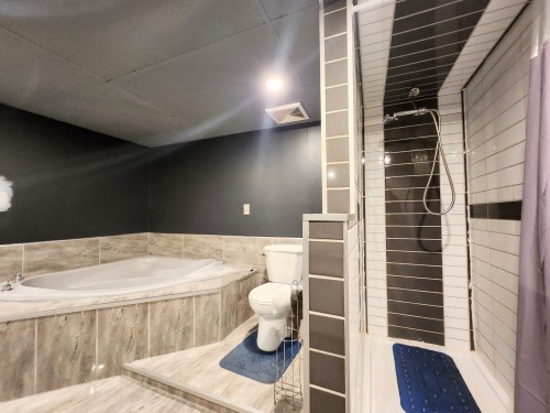 Salle de bains - 625 Ch. Des Daniel, Shawinigan, QC - Indoor Photo Showing Bathroom