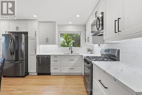 10 Taylor Crescent, Hamilton, ON - Indoor Photo Showing Kitchen With Upgraded Kitchen