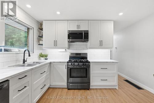 10 Taylor Crescent, Hamilton, ON - Indoor Photo Showing Kitchen With Double Sink