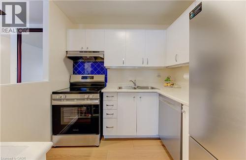 65 Highland Crescent Unit# 204, Kitchener, ON - Indoor Photo Showing Kitchen With Double Sink