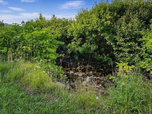 1251 White Point Rd, Smelt Brook, NS - Outdoor