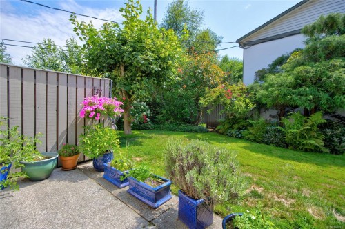 #105-1537 Noel Ave, Comox, BC 