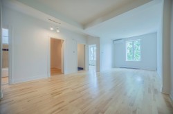 Living Room - 