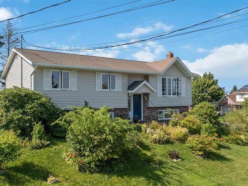 131 Pinewood Crescent, Cole Harbour, NS - Outdoor