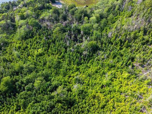 29 Acre Parcel Highway 7 Highway E, East Ship Harbour, NS 