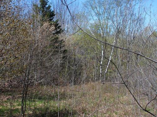 Highway 1, Clementsport, NS 