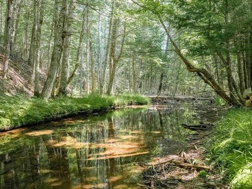 52 Hemlock Lane, Wentworth, NS 